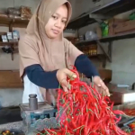 Akhir Tahun 2025, Harga Cabai Melambung