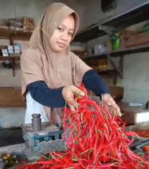 Akhir Tahun 2025, Harga Cabai Melambung