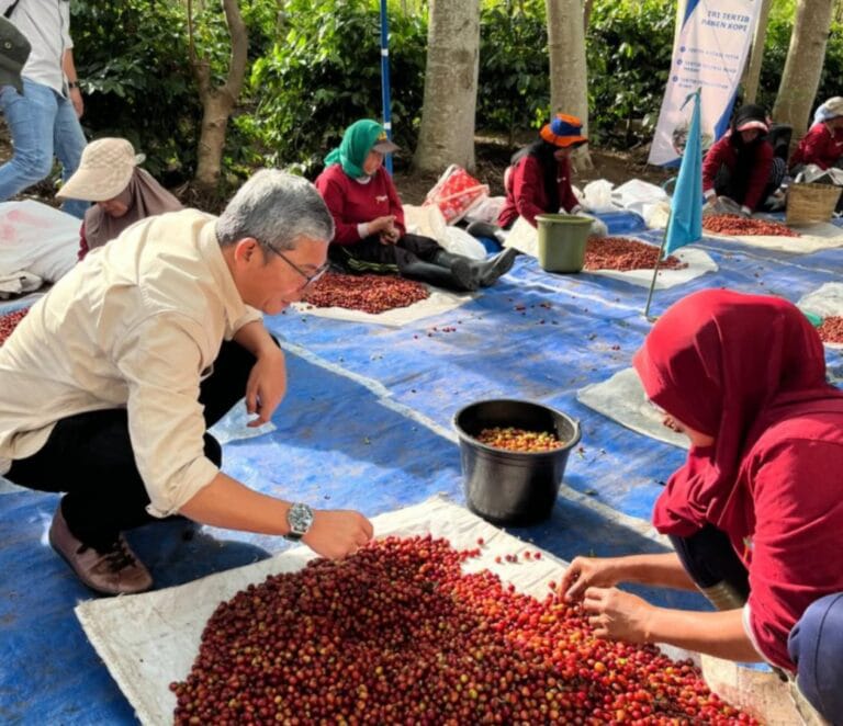 PTPN I Tutup Tahun dengan Kinerja Positif: Penjualan Capai Rp3,56 Triliun