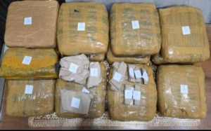 Polisi Sita 13,8 Kg Ganja, Tersangka Terancam Pidana Mati