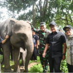 Ketua DPRD Lampung Dukung Way Kambas Jadi Model Nasional