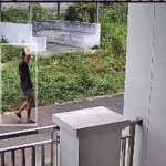 Maling Bobol Rumah Pengacara, Atap Jebol, Harta dan Koleksi Burung Raib