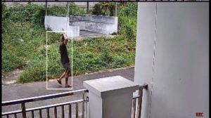 Maling Bobol Rumah Pengacara, Atap Jebol, Harta dan Koleksi Burung Raib