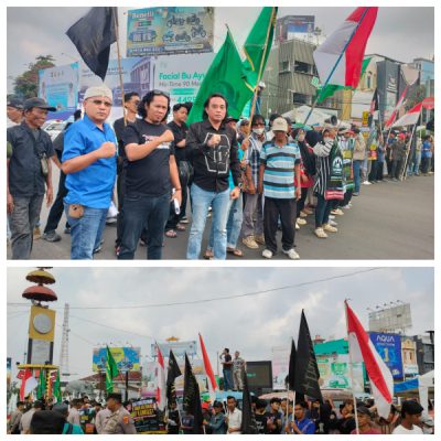 Pembangunan Tower, Jalan Beton, dan Land Clearing di TNWK Dipersoalkan, Merusak Ekosistem Serta Mengancam Satwa