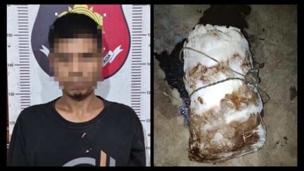 Polsek Umpu Semenguk Amankan Diduga Pelaku Penggelapan Getah Karet di Negeri Agung