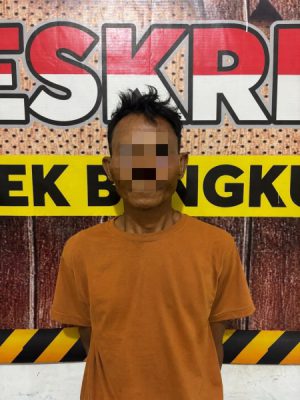 Curi 3 Karung Padi Senilai Puluhan Juta, Warga Pekon Mon Diamankan Polisi