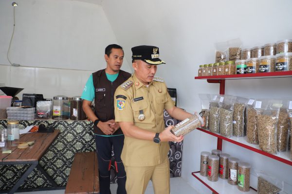 Tinjau Sekolah Kopi, Bupati Parosil Beri Pesan ke Dinas Perkebunan Hingga Karyawan