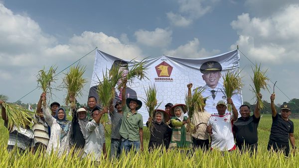 Erma Yusneli Panen Raya Bersama Petani Tanjung Sari , Janji Kawal Aspirasi ke Pusat