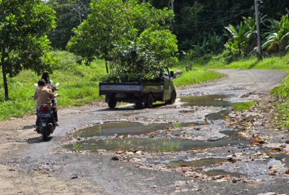 Jalan Way Muli–Rajabasa Rusak dan Sempit, LSM PRO RAKYAT, Jangan Tunggu Tsunami Baru Bertindak!