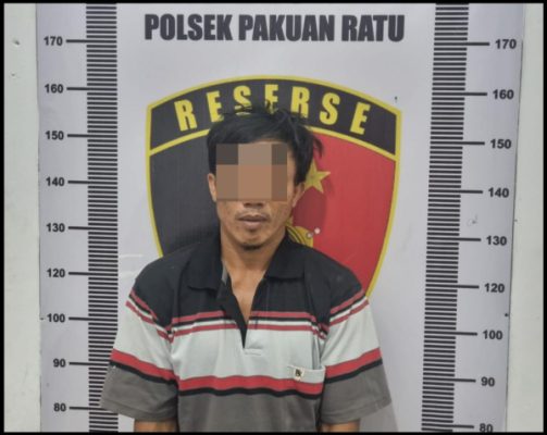 Pakuan Ratu Tangkap DPO Kasus Pencurian TBS Sawit di Belitang Jaya