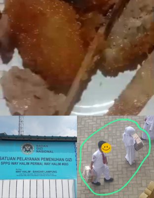 Geger! MBG di Bandar Lampung Diduga Basi: Sudah Menu Diduga Asam, Siswa SD Terlihat Urus Wadah Sendiri, Dapur Pemasok Bungkam Saat Dikonfirmasi