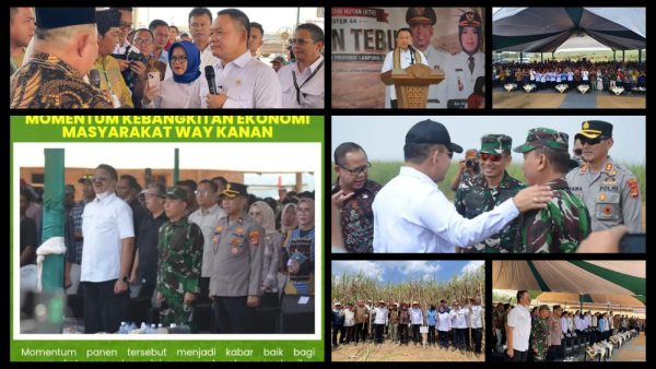 Panen Tebu DI Register 44 Jadi Momentum Kebangkitan Ekonomi Masyarakat Way kanan